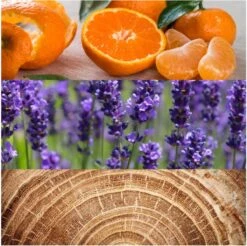 Calvin Klein Obsession 125 Ml - Eau De Toilette - Herenparfum 6 Calvin Klein Obsession 125 Ml - Eau De Toilette - Herenparfum -Damesparfum Winkel 1200x1194 1