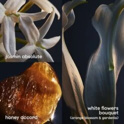 Paco Rabanne Lady Million 80 Ml - Eau De Parfum - Damesparfum -Damesparfum Winkel 1200x1200