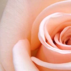 Spider-Man Eau De Toilette Spray - 100 Ml - Parfum Voor Kinderen -Damesparfum Winkel 1200x1200 285