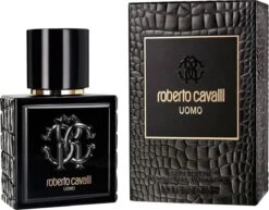 Roberto Cavalli Uomo Eau De Toilette Spray 100 Ml 25 Roberto Cavalli Uomo Eau De Toilette Spray 100 Ml -Damesparfum Winkel 1200x940 1