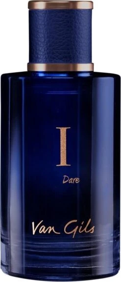 VAN GILS I DARE EDT 100 ML