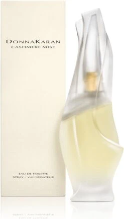 DKNY Cashmere Mist 100 Ml - Eau De Toilette - For Women -Damesparfum Winkel 682x1200