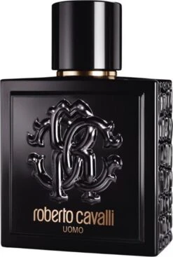 Roberto Cavalli Uomo Eau De Toilette Spray 100 Ml 31 Roberto Cavalli Uomo Eau De Toilette Spray 100 Ml -Damesparfum Winkel 808x1200 4