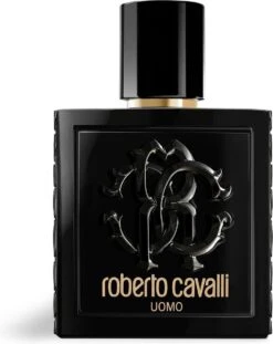 Roberto Cavalli Uomo Eau De Toilette Spray 100 Ml 28 Roberto Cavalli Uomo Eau De Toilette Spray 100 Ml -Damesparfum Winkel 952x1200